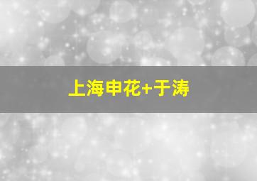 上海申花 于涛